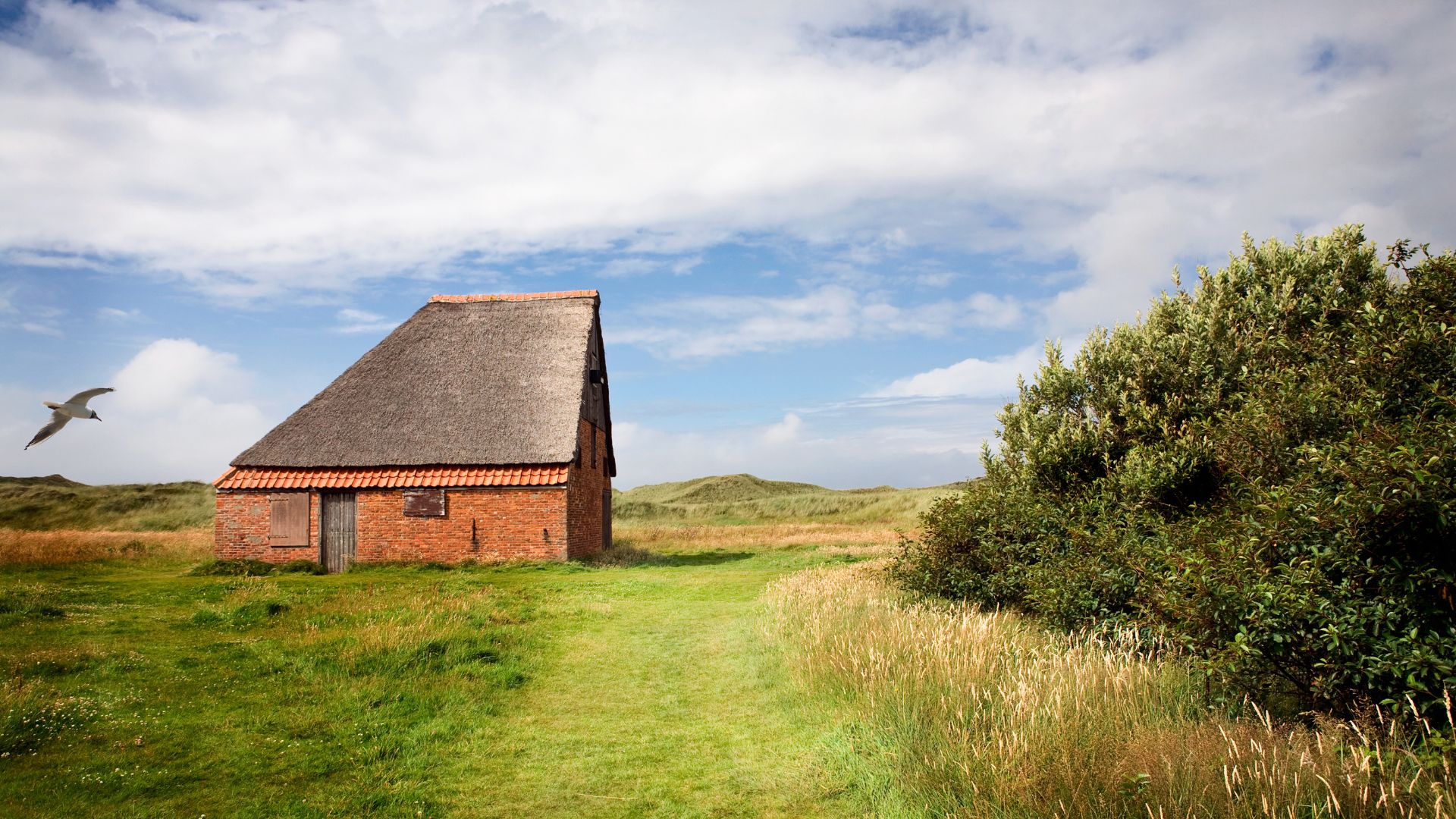 Een traditionele schapenboet op het eiland Texel, waar je heerlijk op vakantie kunt.